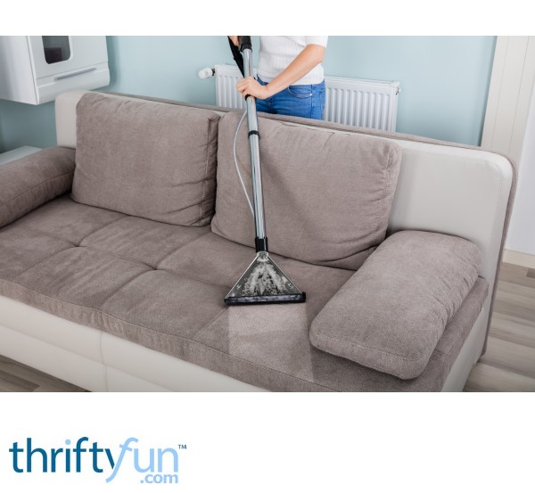 Removing Urine Odors From A Couch Thriftyfun