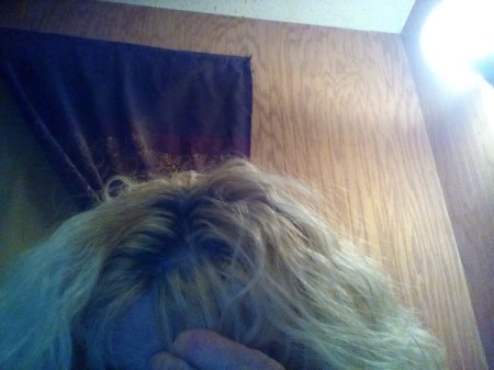 Lightening Roots After Dyeing Hair Blond - dark roots