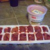 Thrifty Cat Snack (Chicken Liver) - livers in an ice cube tray