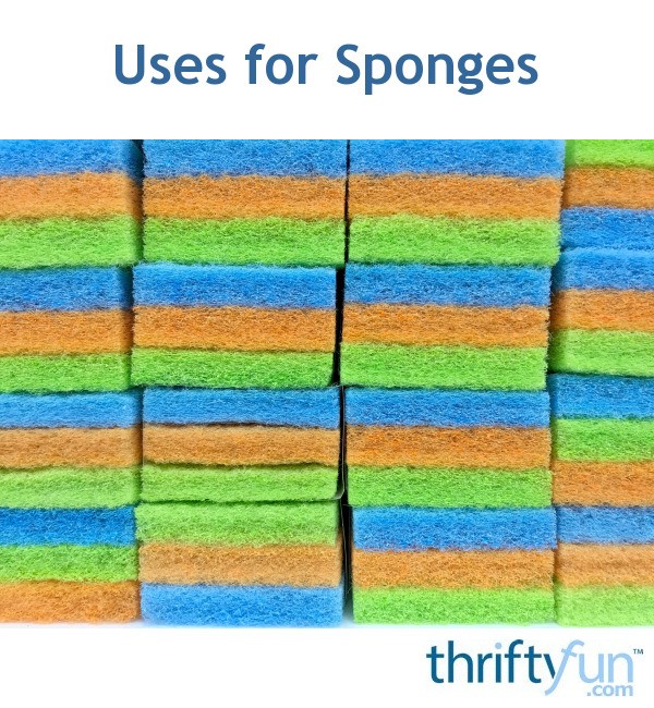 Uses for Sponges ThriftyFun