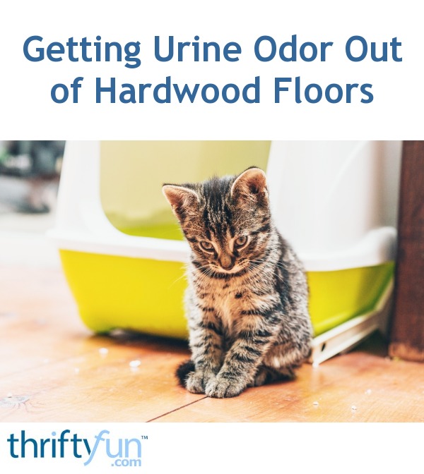 Cleaning Pet Urine Odor From Hardwood Floors ThriftyFun