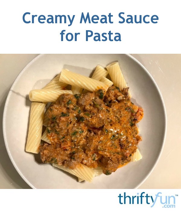 Creamy Meat Sauce for Pasta ThriftyFun