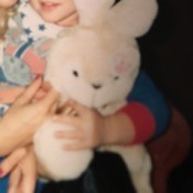 Identifying a Stuffed Bunny