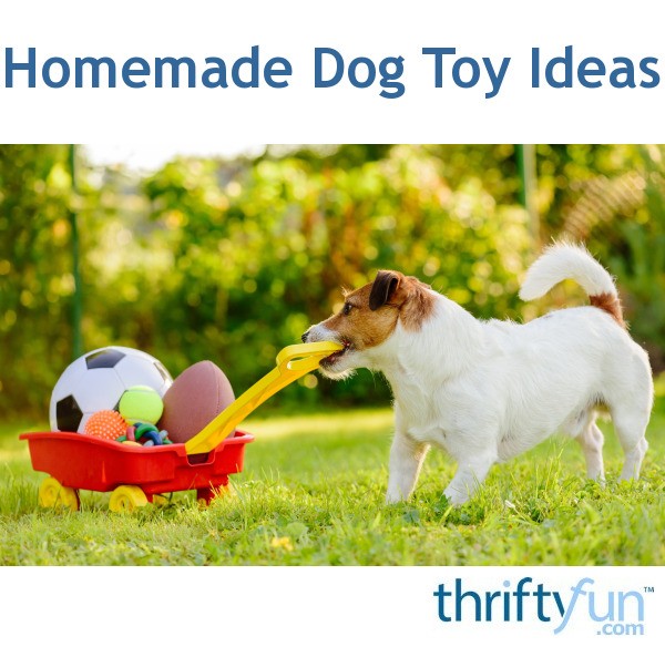 homemade-dog-toy-ideas-thriftyfun