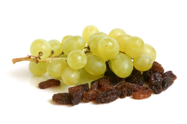 green table grapes and raisins