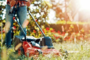 A lawnmower in tall grass.