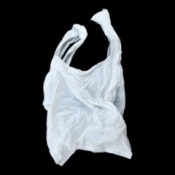 A white plastic grocery bag.