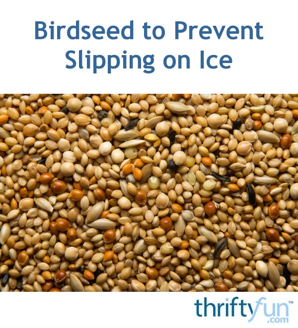 Birdseed to Prevent Slipping on Ice ThriftyFun