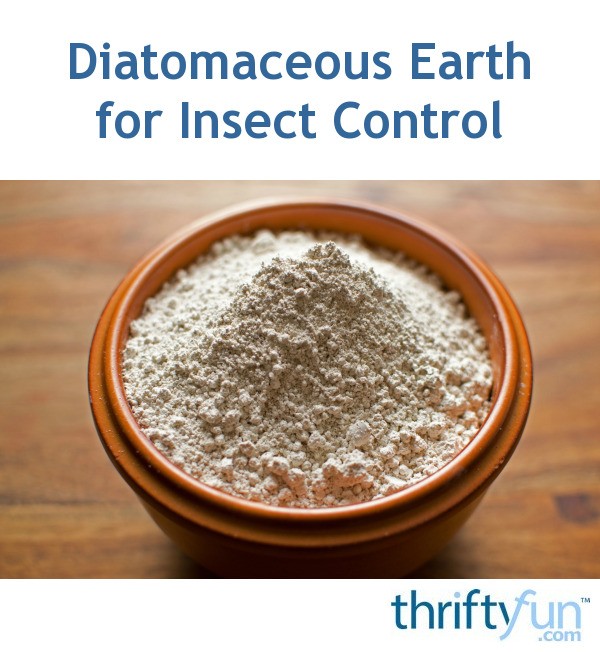 Diatomaceous Earth for Insect Control ThriftyFun