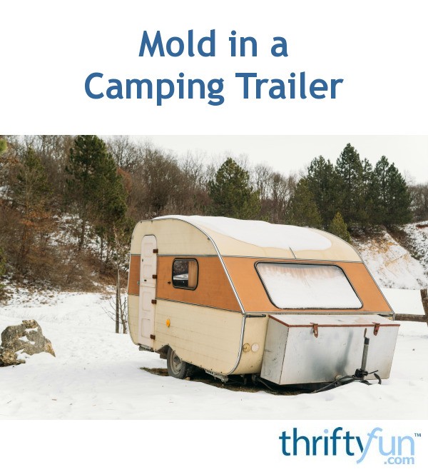 Mold in a Camping Trailer? ThriftyFun