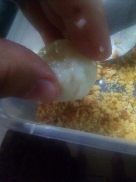 coating Sticky Rice Balls with chopped peanuts