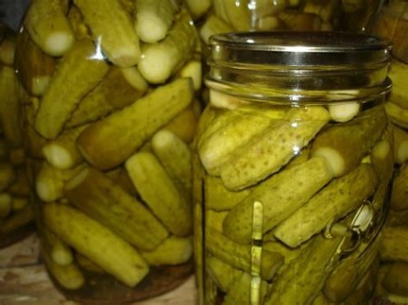 Jars of pickles in a briny juice.