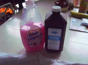 A bottle of dish soap and one of hydrogen peroxide to remove stains.