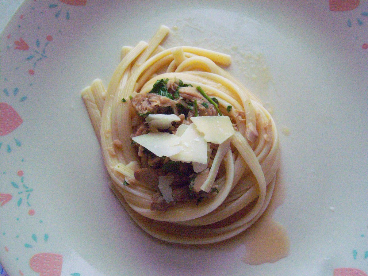Easy Salmon Fettuccine | ThriftyFun