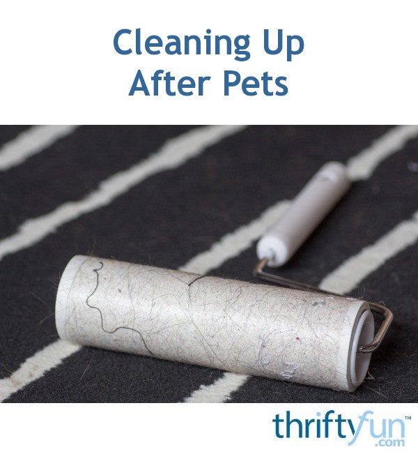 Cleaning Up After Pets ThriftyFun