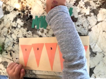 Carrot Counting Activity for Toddlers - ready to play
