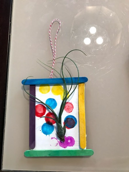 Making a Hanging Air Plant Frame - add a ribbon or cord hanger if desired