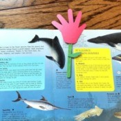 Making a Paper Hand Shaped Flower Bookmark - bookmark inside a book open to a page on sea life