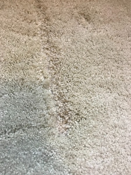 Carpet after using a toothbrush to fluff a dent