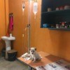 Caring for a Puppy with Parvo - puppy on table next to IV stand