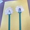 Making a Dandelion Card - Toddler Activity - view of finished dandelion seed heads