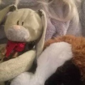 Identifying a Stuffed Bunny - ecru bunny