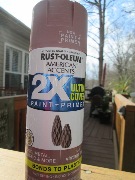 Painting Decorative Indoor/Outdoor Signs - can of spray paint