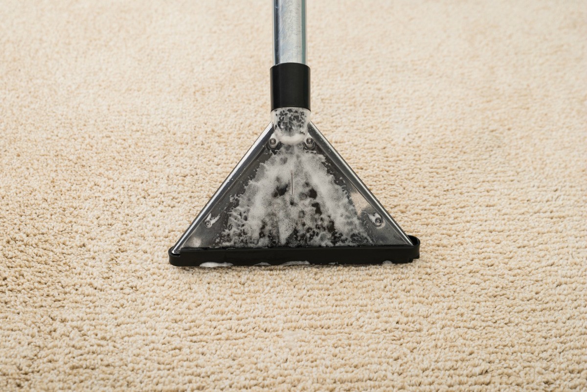 getting-rid-of-wet-carpet-smell-thriftyfun