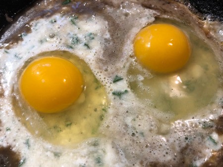 eggs on cheese mixture