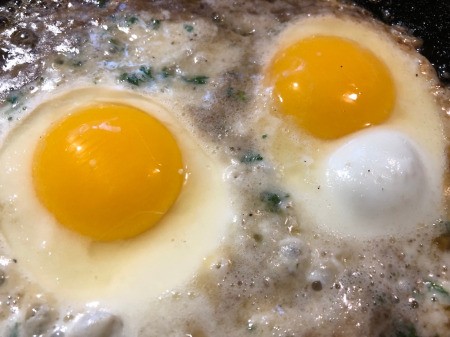 Eggs cooking on cheese mixture