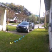 A line of dog poop bags left in a yard.