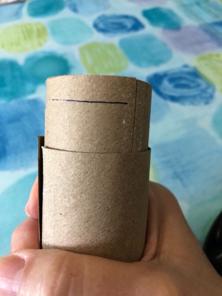 Two cardboard tubes placed inside one another around a recycled lint roller.