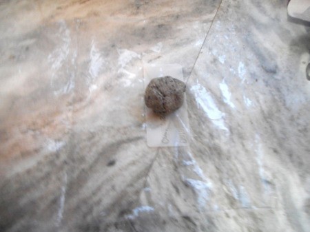 small ball of Tortilla dough