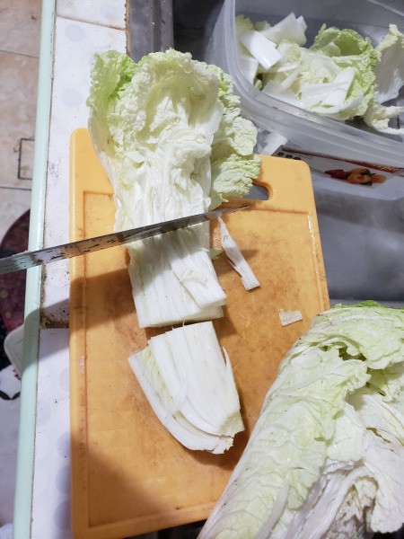 cutting napa cabbage