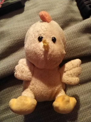 Identifying a Stuffed Chicken Toy
