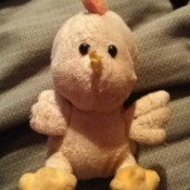 Identifying a Stuffed Chicken Toy