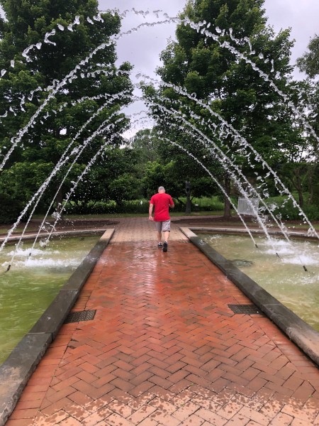 Daniel Stowe Botanical Gardens - fountains
