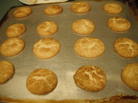 finished Snickerdoodle Cookies on baking  in tintray