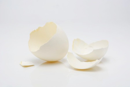 A broken eggshell on a white background.