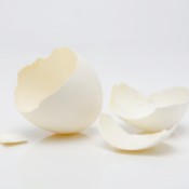 A broken eggshell on a white background.