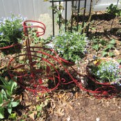 Reviving An Old Outdoor Planter - planter in the garden