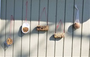 Bird Feeders Part 2 - hanging feeders
