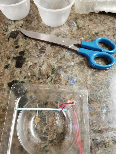 Bird Feeders Part 2 - darning needle for pulling thread through the hole