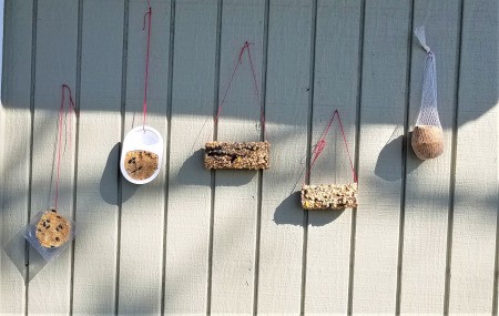 Bird Feeders Part 2 - feeders hanging on exterior wall