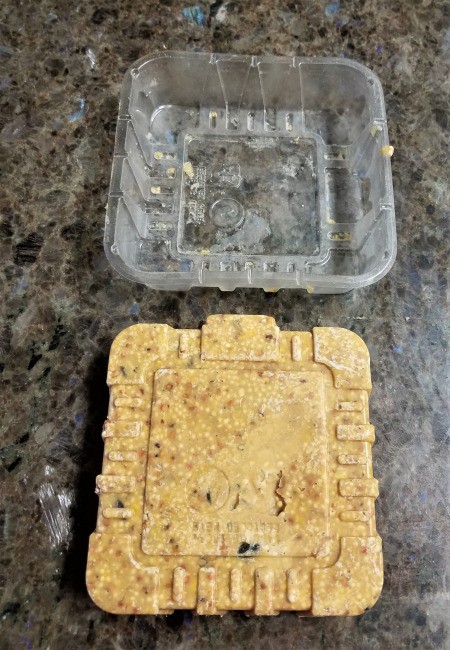 Bird Feeders Part 2 - suet cake and plastic container