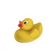 An old toy rubber duck.