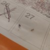 Getting Rid of Tiny Black Biting Bugs - but on a calendar page