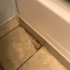 Finding Home Repair Help for Low Income Homeowners - cracked bathroom floor tile