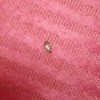 Is This a Bedbug? - bug on pink upholstery