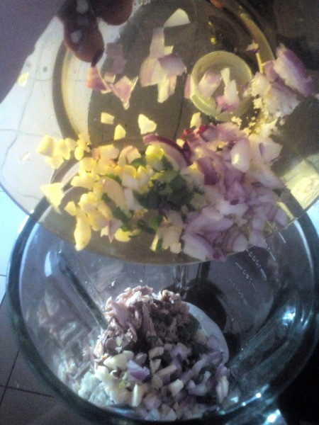 added onions & garlic to fish